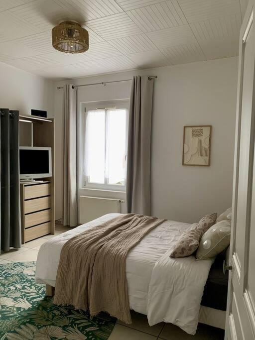 Charmant Appartement Apartment Cernay (Haut-Rhin)